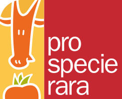 Logo pro specie rara