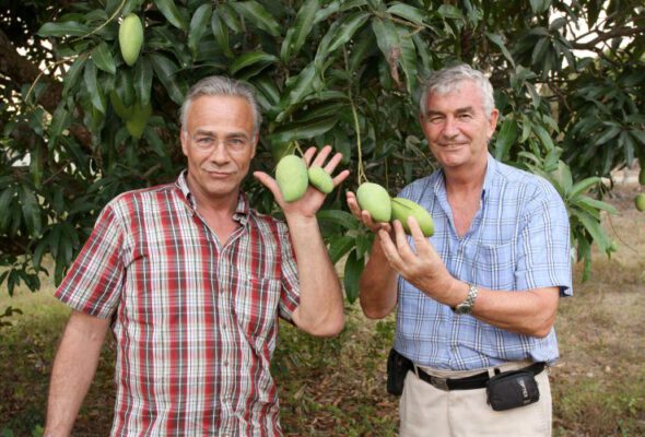 Spende einen Mangobaum: Aktion von PREDA und Tatort-Verein